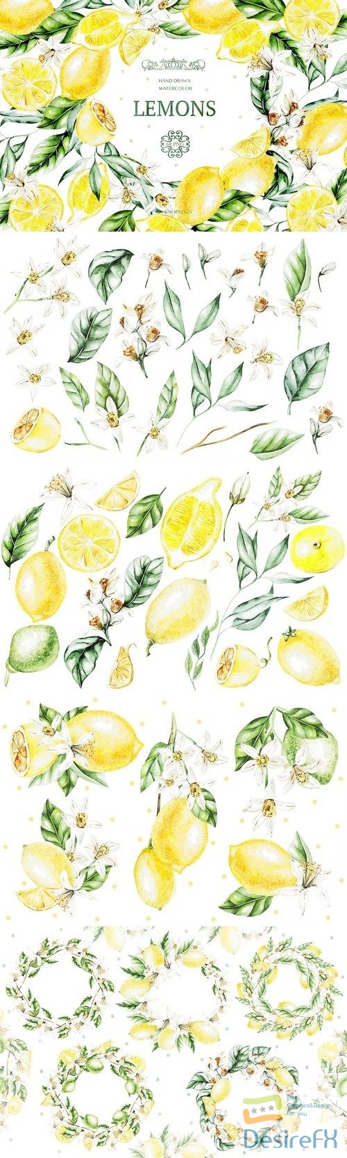 Hand Drawn Watercolor Lemons