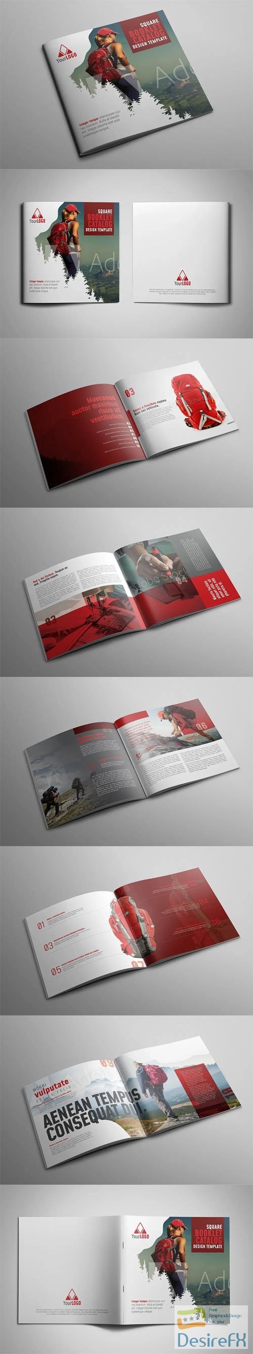 Square Booklet Catalog INDD Design Template