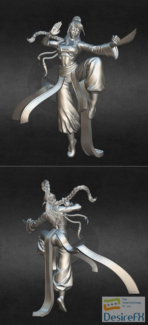 Sword and Sorcery - Shakiko (Monk Hero) – 3D Print