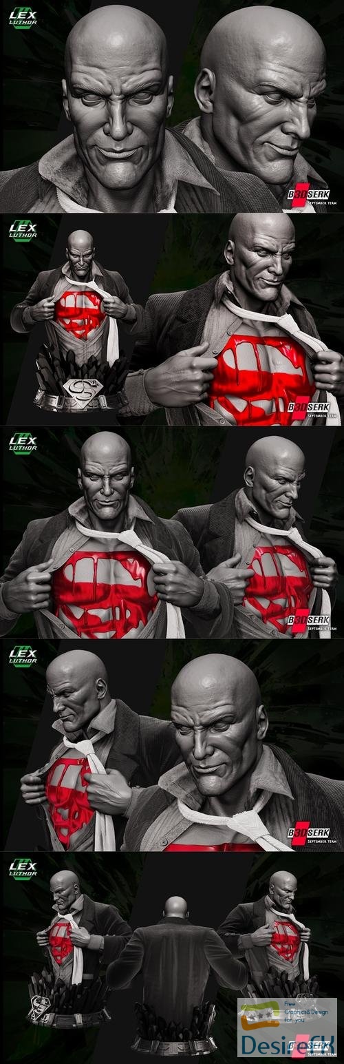 B3DSERK - Lex Luthor Bust – 3D Print