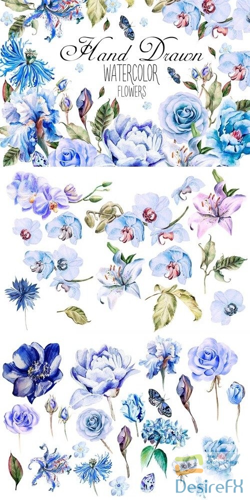 Hand Drawn Watercolor Flowers