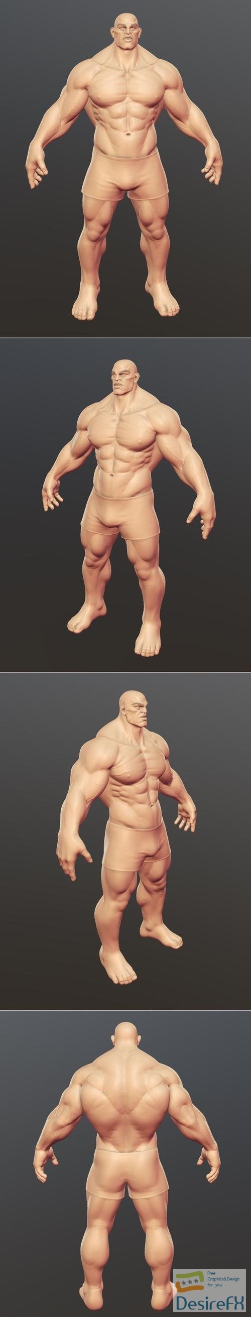 Muscular Man Basemesh – 3D Print