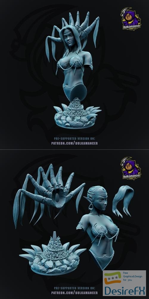 Nocticula - Pathfinder - Wrath of the Righteous bust – 3D Print