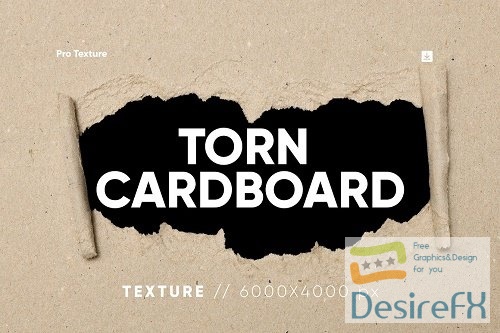 10 Torn Cardboard Texture - 11010485