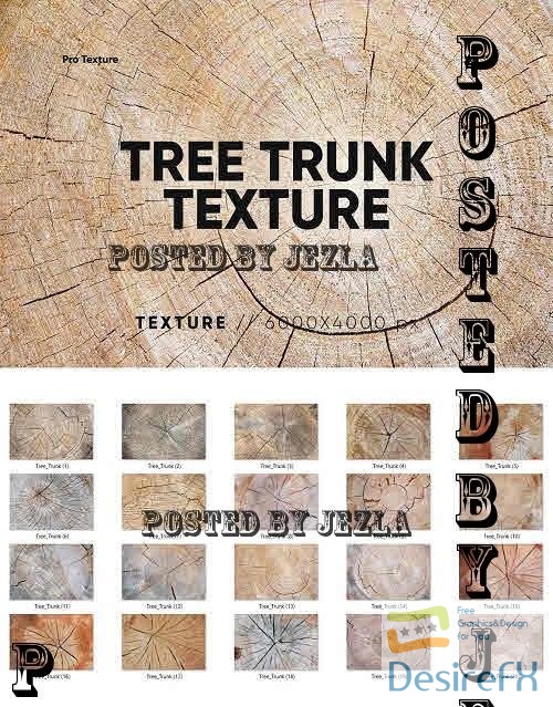 20 Tree Trunk Textures - 7805294