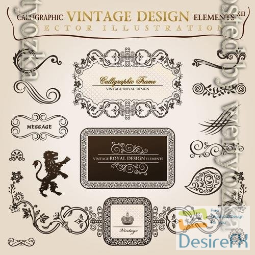 Vector calligraphic elements vintage heraldic framedecor illustration