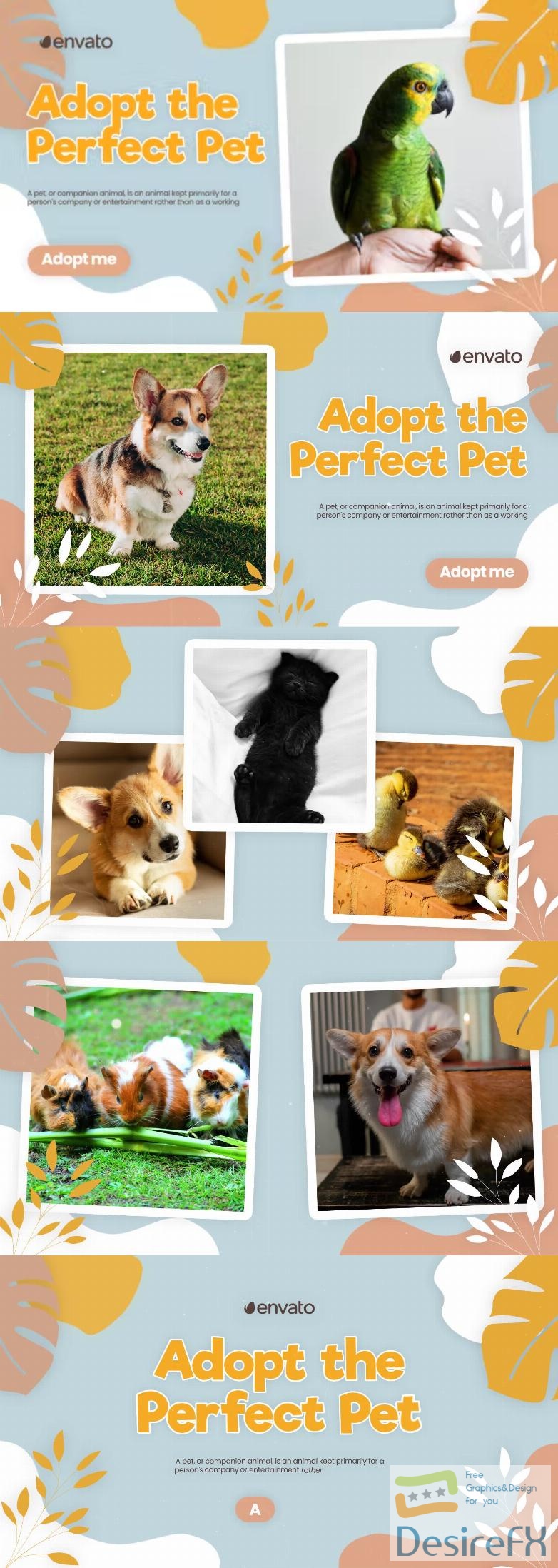 Videohive Adopt Pet Promo 42800787