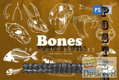 Bones Photoshop Stamp Brushes - 2428437