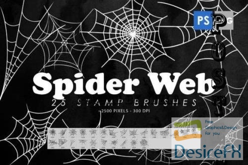 Spider Web Photoshop Stamp Brushes - 2428490