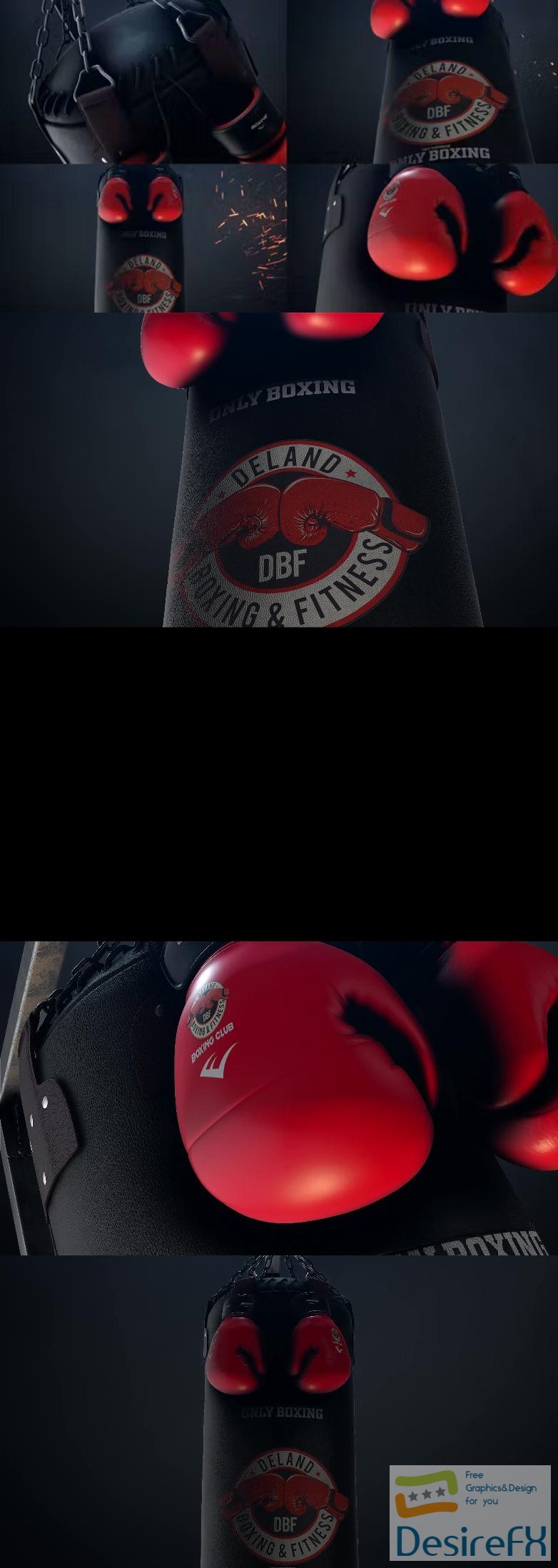 Videohive Boxing Gloves Logo Reveal 25009365