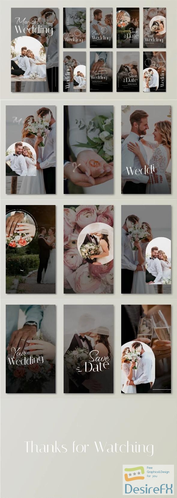 VideoHive Wedding Instagram Story 43367451
