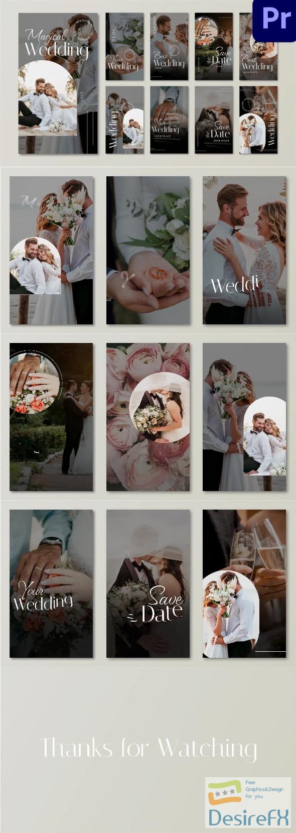 VideoHive Wedding Instagram Story 43420040