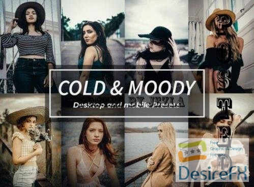 8 Cold & Moody Lightroom Presets