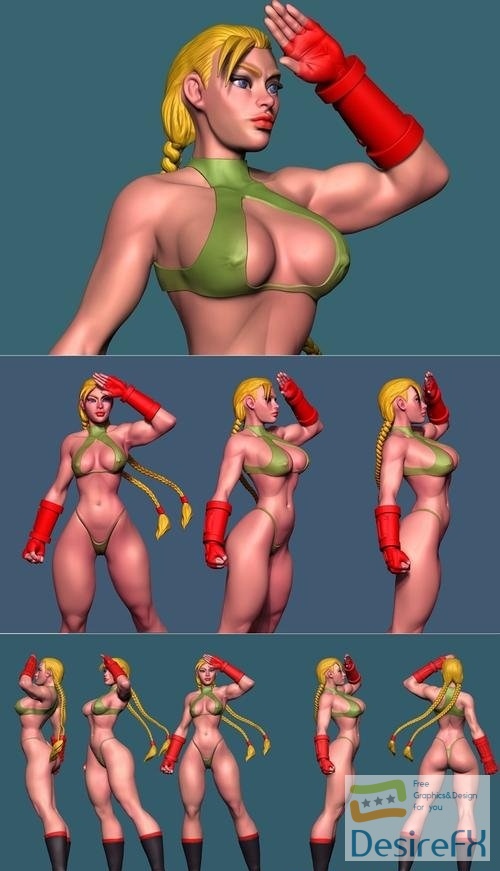 Cammy Bikini - Brianmiroglio 3D Print