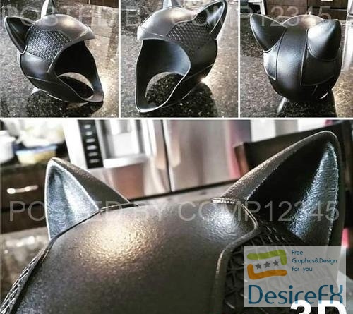Catwoman Arkham Knight Helmet and Goggles 3D Print