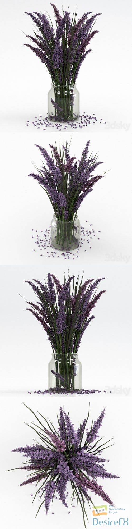 Bouquet of lavender - 3d model