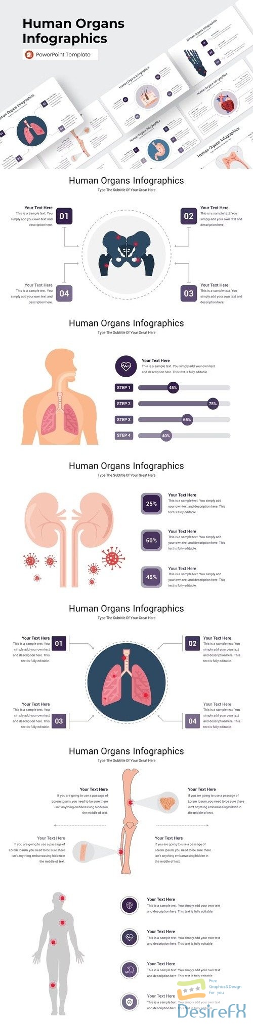 Human Organs Infographics PowerPoint Template