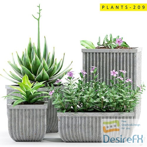 PLANTS 209 - 3d model