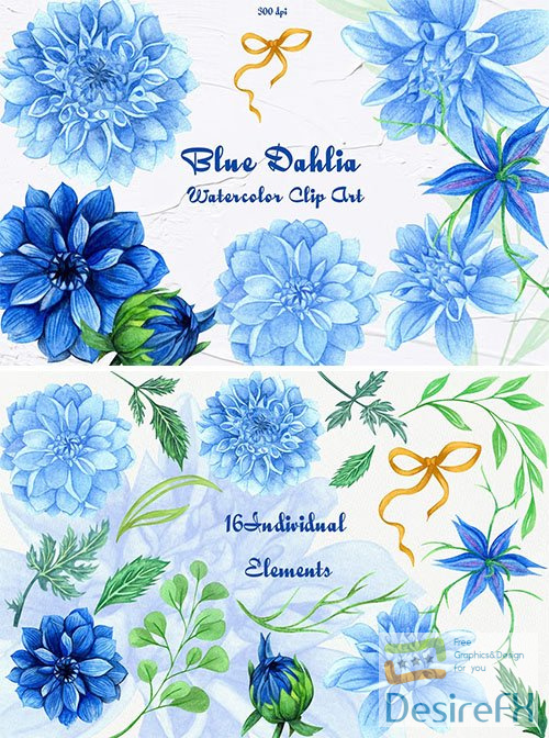 Blue Dahlia Watercolor Clipart PNG