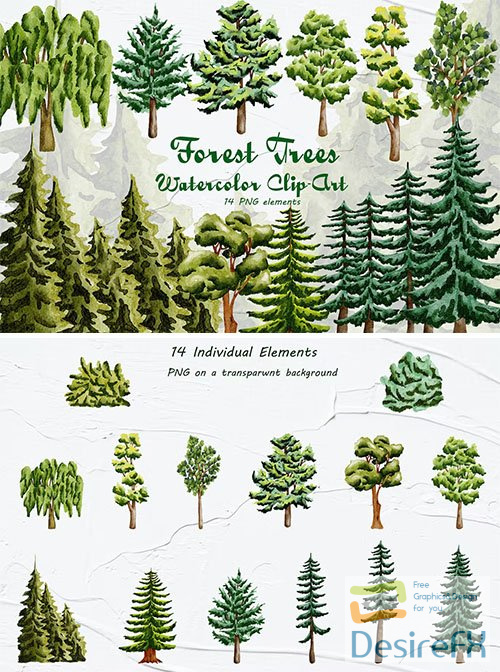 Forest Trees Watercolor Clipart PNG