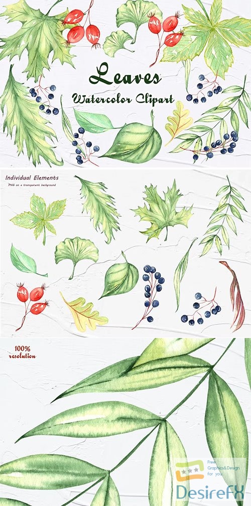 Green Leaves Watercolor Clipart PNG
