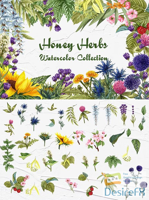 Honey Herbs Watercolor Clipart PNG