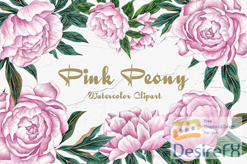 Peony Watercolor Clipart PNG
