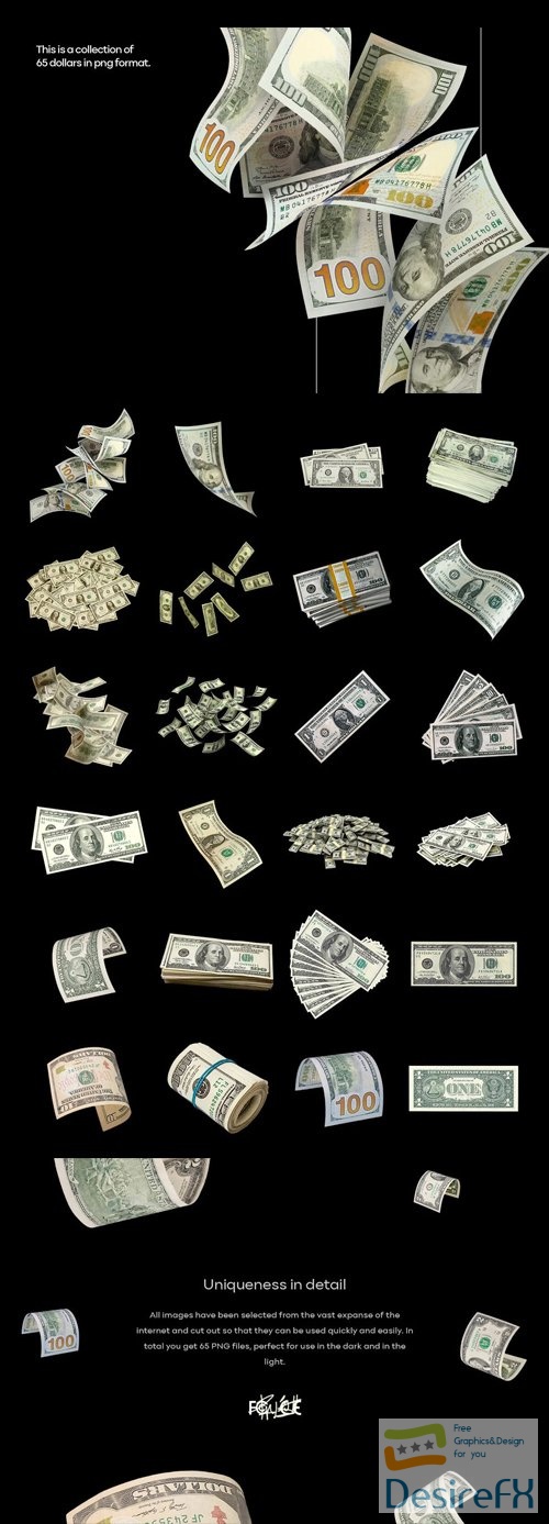 Professional Dollars PNG Collection