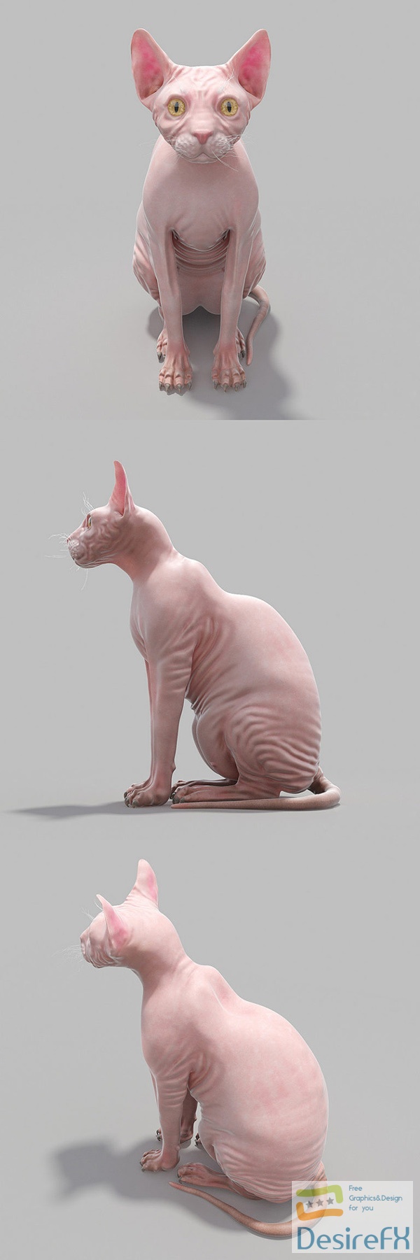 Sphinx Cat 3D Model