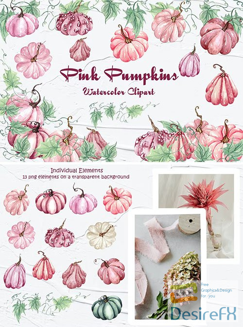 Watercolor Pink Pumpkins Clipart PNG