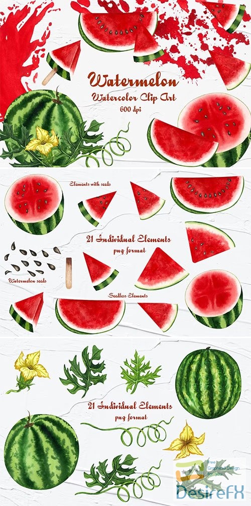 Watermelon Watercolor Clipart PNG