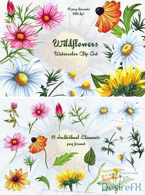 Wildflowers Watercolor Clipart PNG