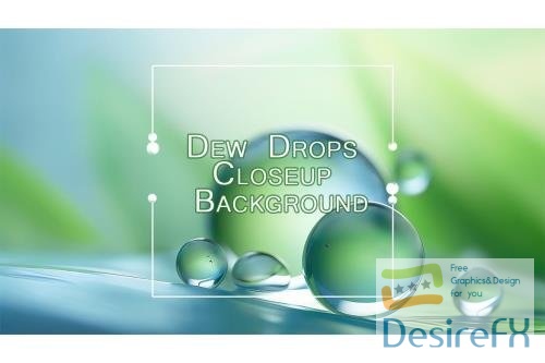Dew Drops Closeup Background