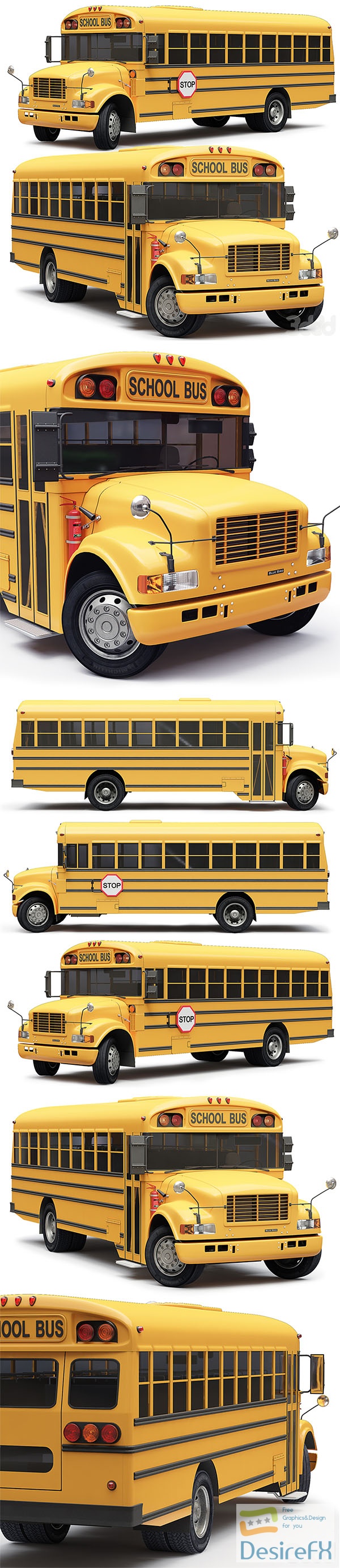School Bus Blue Bird 3D Model