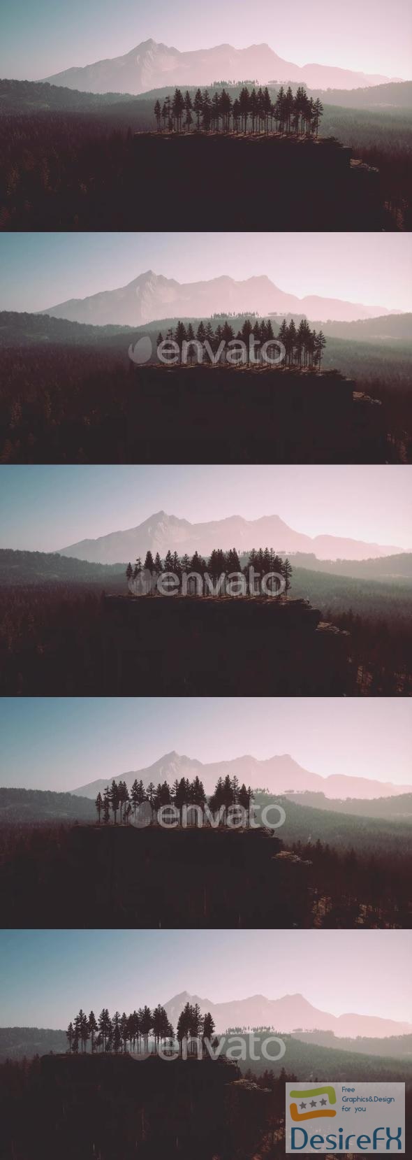 VideoHive Pine Tree Forests at the Base of Mountain in Sunny Day of Summer 47581346
