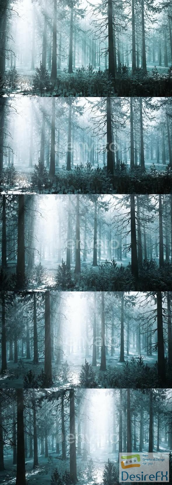 VideoHive Winter Foggy Beech and Spruce Forest Scene 47581102