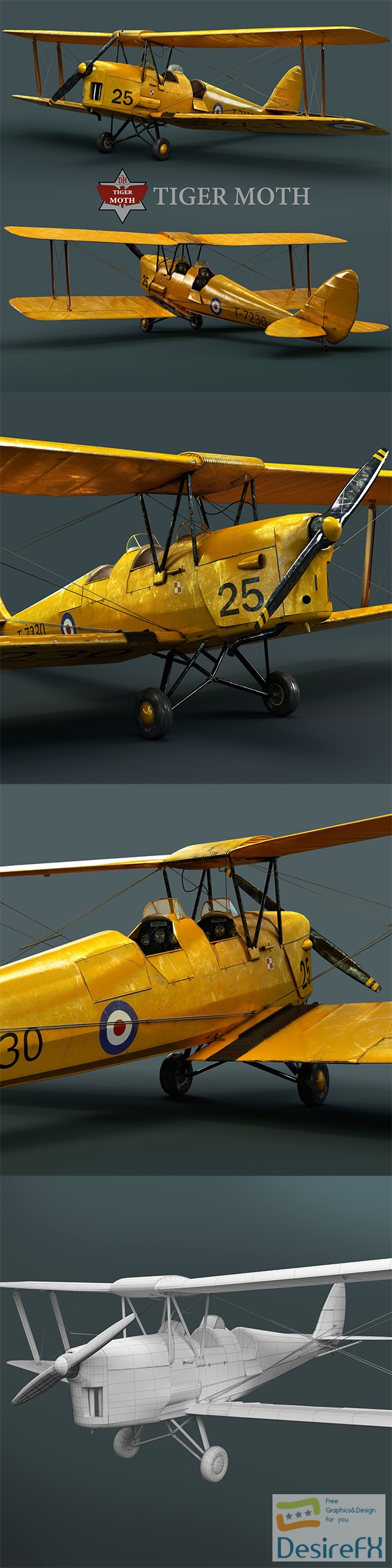 Tiger Moth 3D Model