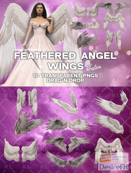 10 3D Angel Wings Photo Overlay PNGs