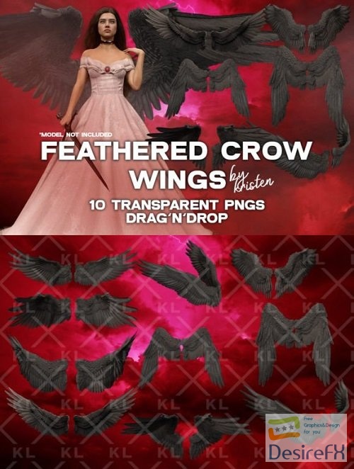 10 3D Crow Wings Photo Overlay PNGs
