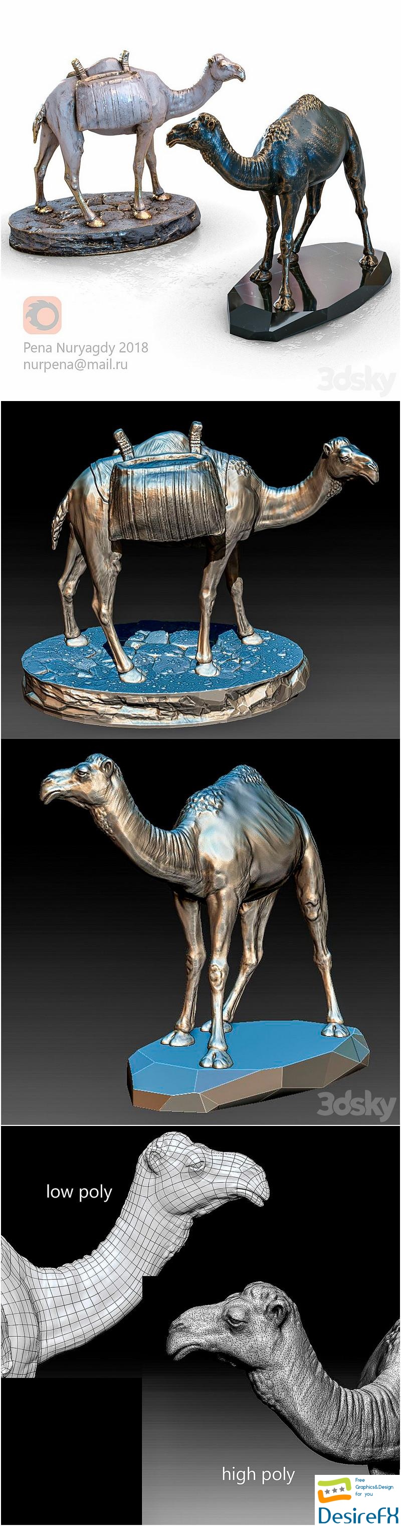 Camel, Camel 3D Model
