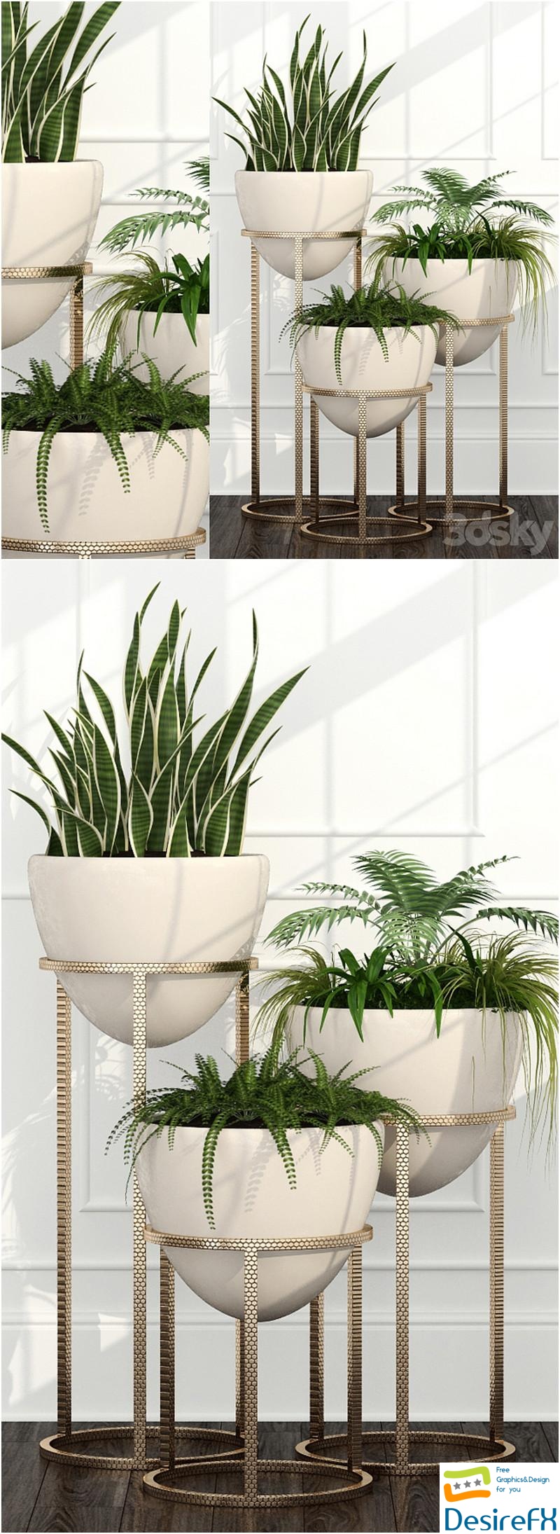 Room plants 14 3D Model