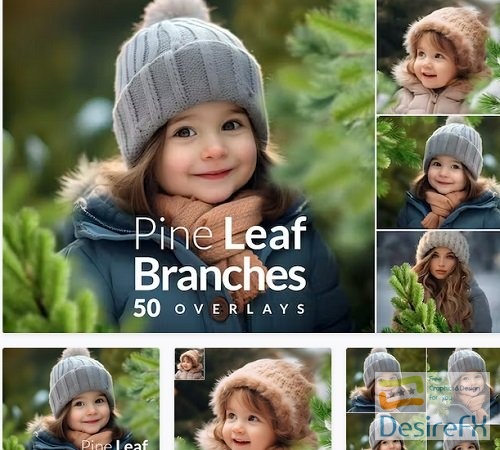 Pine Branches Christmas transparent PNG Overlays - SGS2MK4