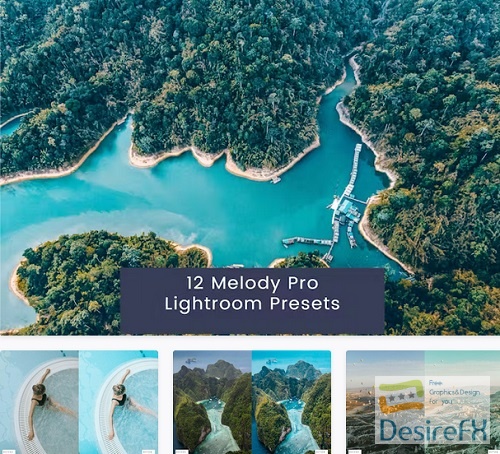 12 Melody Pro Lightroom Presets - J627UU4
