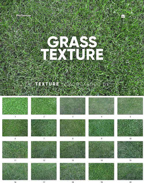 20 Grass Textures HQ - 8453277