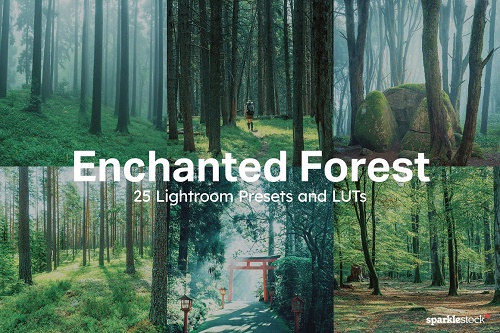 25 Enchanted Forest Lightroom Preset - 10175306