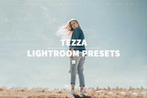 5 TEZZA Classic Lightroom Presets
