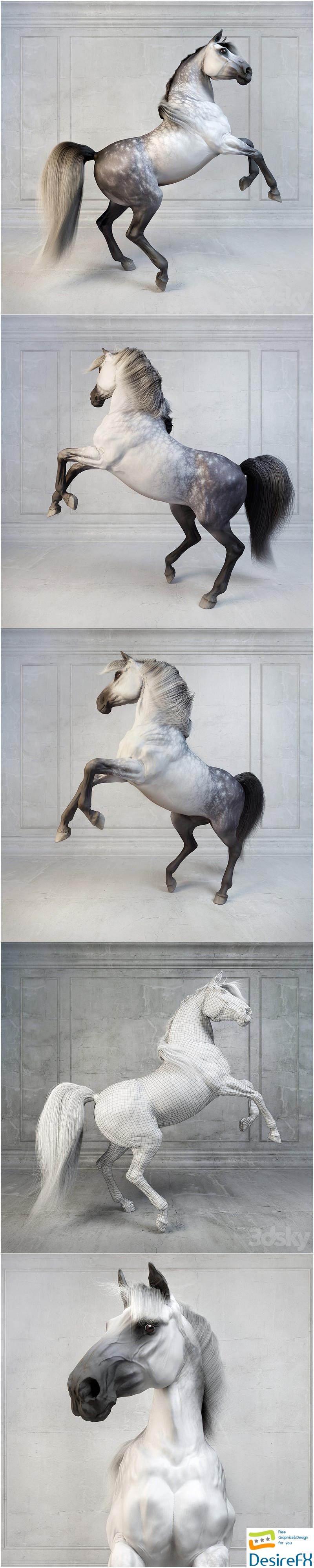 Andalusian Stallion. The Spanish horse. 3D Model