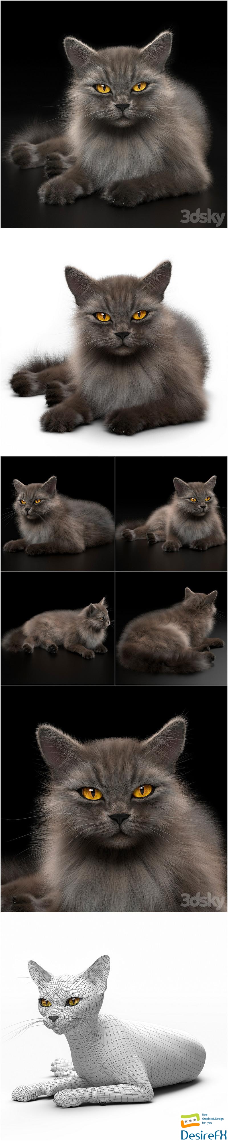 CAT 4 VRay 3D Model