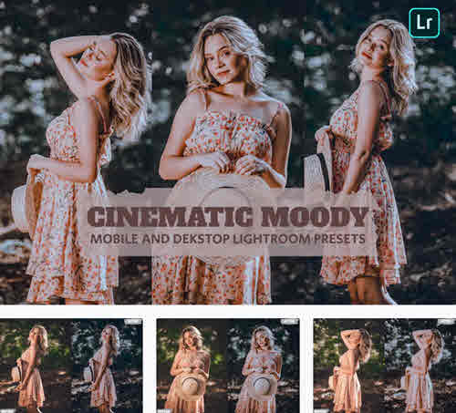 Cinematic Moody Lightroom Presets Dekstop Mobile