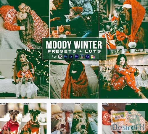 Moody Winter Luts + Presets Mobile & Desctop - ME3RGW2